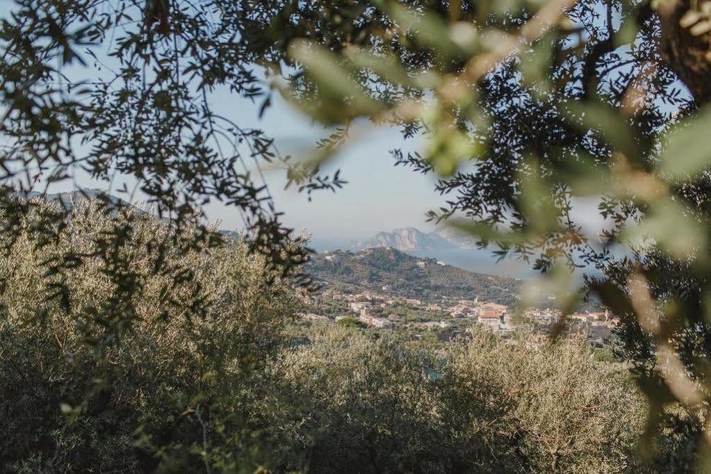 Villa Eliana Сорренто Екстер'єр фото